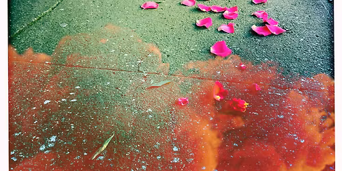 Post Thanksgiving Macerator!