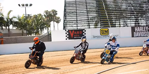 Hooliganism and Monster Trucks