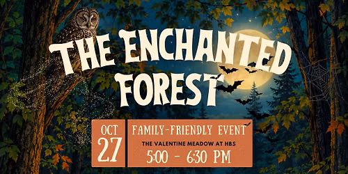The Enchanted Forest