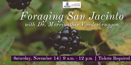 Foraging San Jacinto
