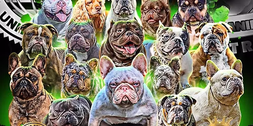 Certified Global Takeover 