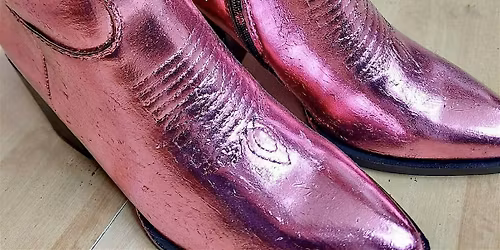 Shiny Shoe Workshop