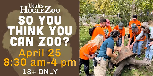 So you think you can zoo?