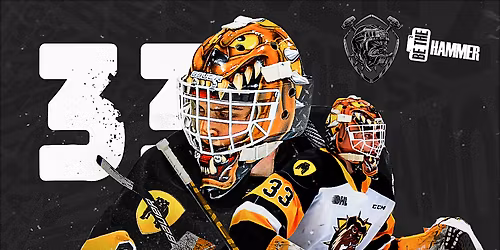 Sarnia Sting at Brantford Bulldogs at Brantford and District Civic Centre