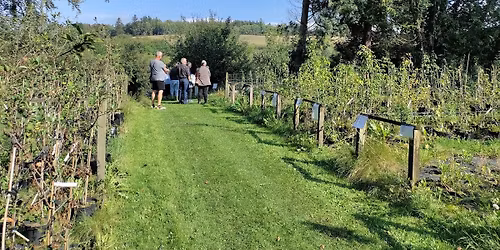 Efter\u00e5rsferieaktiviteter i uge 42 p\u00e5 Blomsterg\u00e5rden