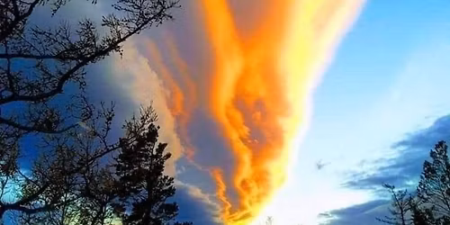 Peachy Food Pantry & Clothes Closet Thanksgiving Food Giveaway