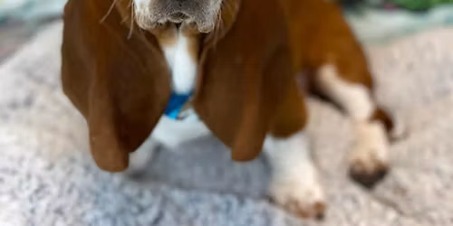 Walk in nail trimming clinic