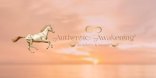 The Sentient Rider Hands-On Course