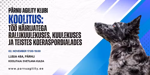 KOOLITUS - T\u00f6\u00f6 h\u00e4irijatega rallikuulekuses, kuulekuses ja teistes koeraspordialades