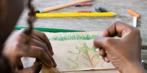 Copy of Drawing in Nature Workshop