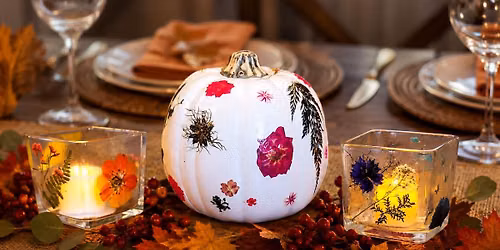 Pressed Flower Pumpkin