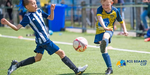 Ros Beiaardcup 2026