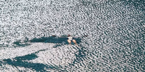 Colleen: Libres antes del final