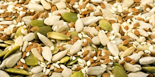 Youth Workshop: Jr. Gardeners Seed Starting