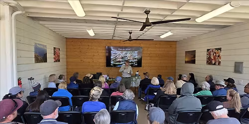 Vital Spring Plumeria Steps