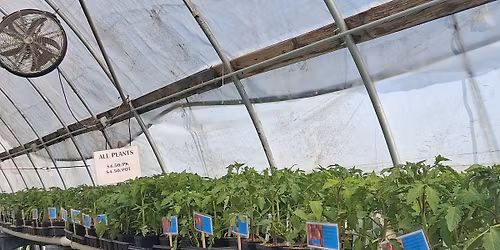 LotFotL Plant Sale 2026