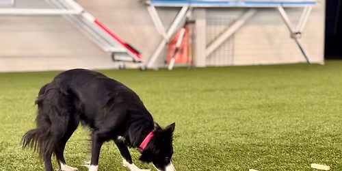 S\u00f5nakuulelikkuse v\u00f5istlus