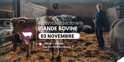 Viande bovine \u25aa\ufe0e Assembl\u00e9e sectorielle Automne 2025