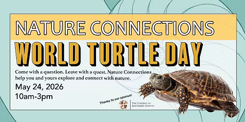 World Turtle Day