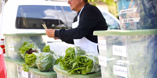 Fairhope Farmers Market