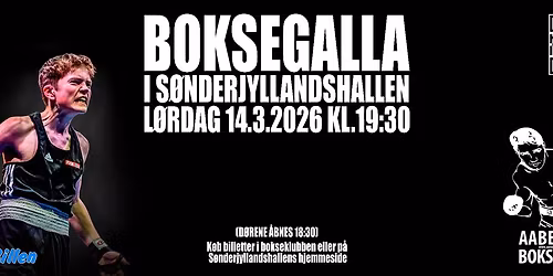 Boksegalla 14. marts 2026 i Sønderjyllandshallen