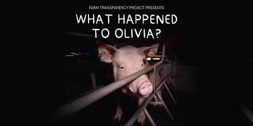 World Premiere - What Happened to Olivia?
