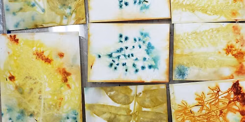  Eco Printed Art Paper with Nan Drye