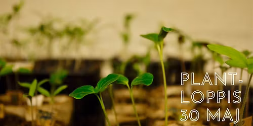 Plantloppis at Clarion Hotel \u00d6rebro