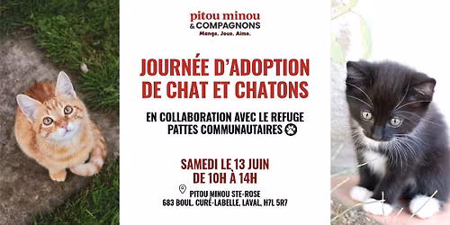 Journ\u00e9e d'adoption avec Pattes Communautaire 