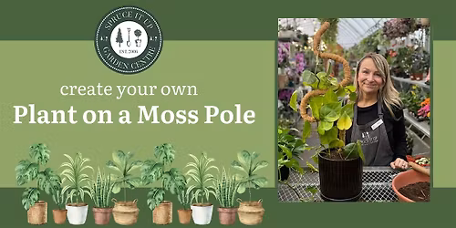 Create Your Own Plant On a Moss Pole