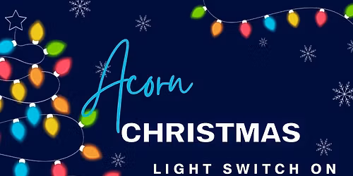 Christmas light switch on 