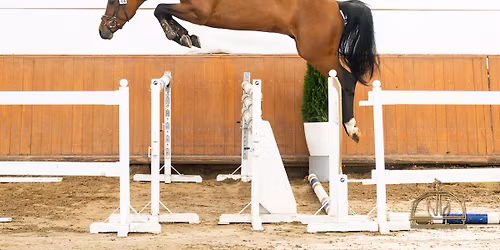 MSLT M\u00e9nvizsga 2026