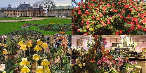 SV\u011aTOV\u00c1 V\u00ddSTAVA ORCHIDEJ\u00cd S VELIKONO\u010cN\u00cd V\u00ddSTAVOU A KAM\u00c9LIE NA PILLNITZ