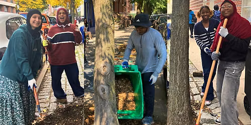 Street Tree Care in East New York