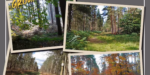 Working Test for Spaniels