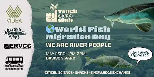 World Fish Migration Day