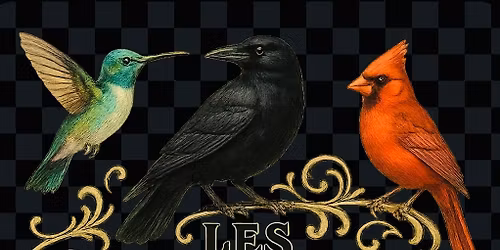 Les Oiseaux Trois Live At The Wormhole