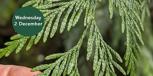 Ouse Burn Way: Exploring Evergreens