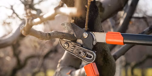 Lawn & Landscape Workshop Series: Part 2