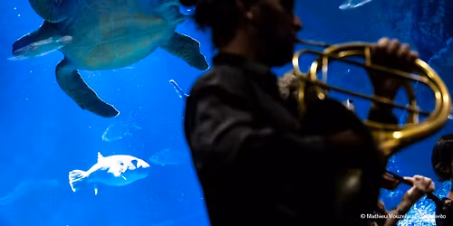 Saison MM - il Convito | F\u00eates baroques | Mini-concert