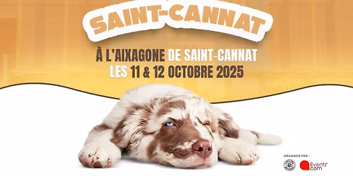 Salon "Univers du chiot" Aixagone de Saint-Cannat (13)