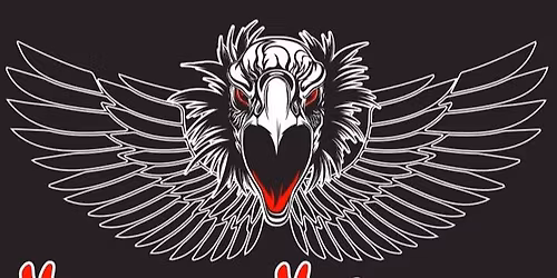 VERTIGO VULTURES @ JenJen's- Live Band