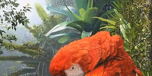 Joplin Mo Bird And All Pet Fair 