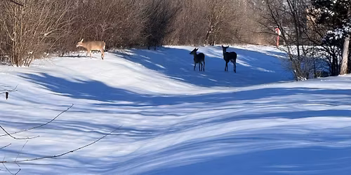Prairie Travelers monthly meeting