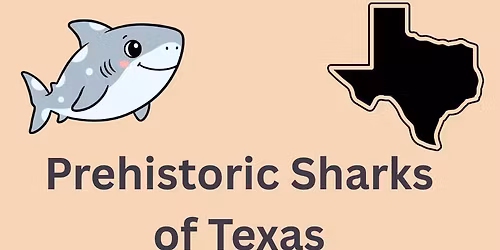 Prehistoric Sharks of Texas