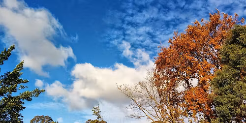 Brass Choir Christmas