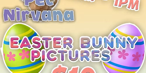 Pet Nirvana Easter Event