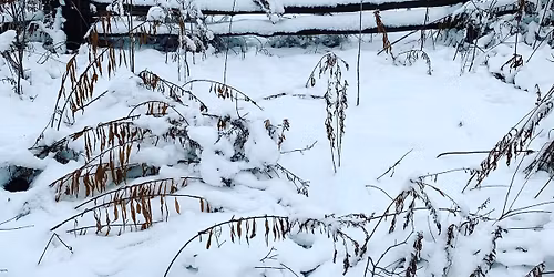 Bronte Creek Provincial Park