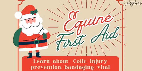 Christmas Equine First Aid Course