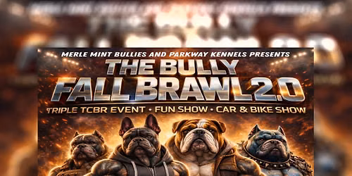 THE BULLY FALL BRAWL 2.0